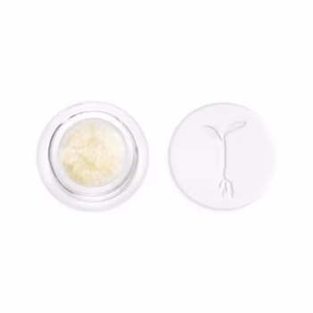 Key Lime Refined Live Resin Crushed Diamonds | Purple Unicorn Refined Live Resin Crushed Diamonds | Limeade Refined Live Resin Crushed Diamonds | Dragon Glue Refined Live Resin Crushed Diamonds | Beary White Refined Live Resin Crushed Diamonds